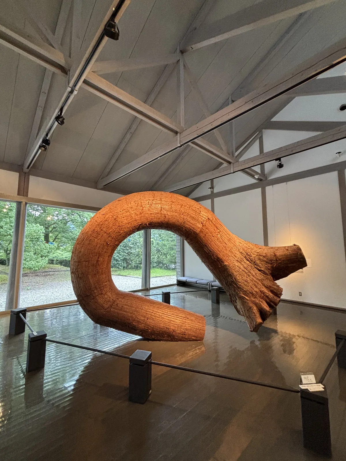 展示室內，一段整根樹幹雕成的大型木雕彎成圓弧橫躺在深色的地板上，以低矮的柵欄圍起，上方是灰色的木桁架與白色的板天花，左側是整面的玻璃，玻璃外是庭園的綠意