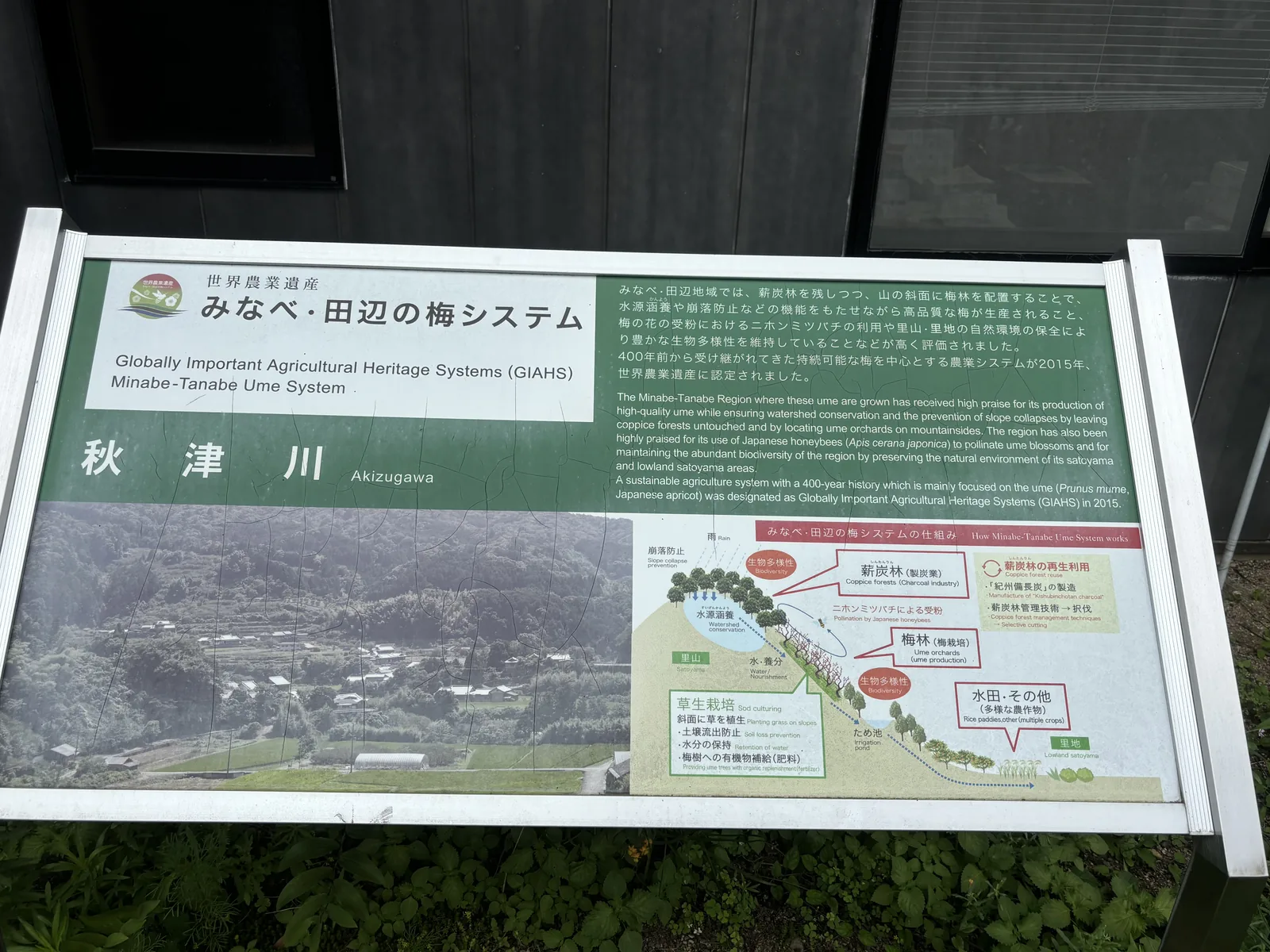世界農業遺產南部・田邊梅系統的看板，上方是標題與英文名，下方是秋津川的空拍照片與一張標示位置的地圖，背後是深灰色的外牆