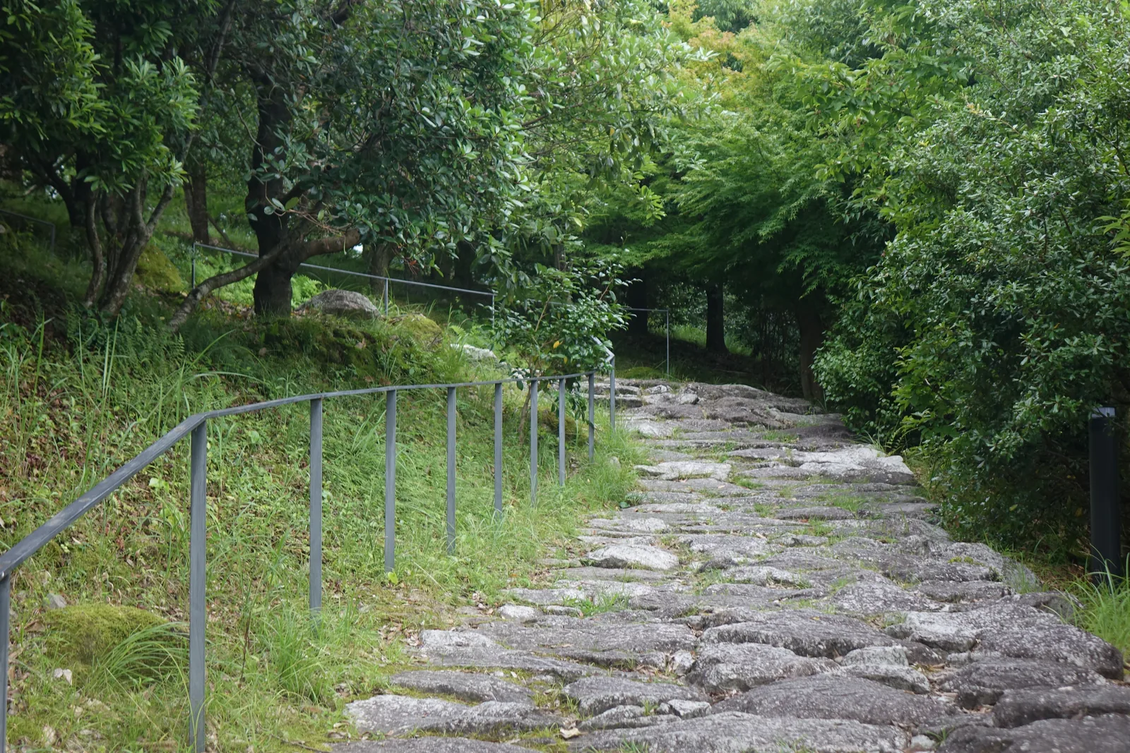 熊野古道中心館外重現的古道石疊，大小石塊交錯鋪成一條和緩的坡道，左側是鋼管扶手，兩側是茂密的樹林