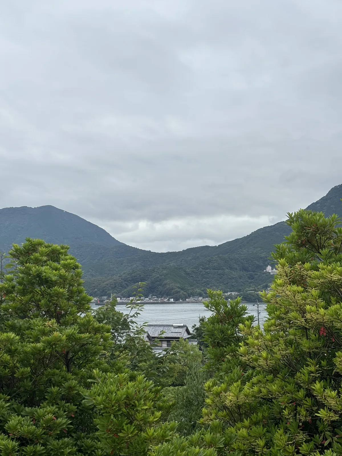 熊野古道中心外的高處，前景是樹叢，中景是尾鷲灣的水面與沿岸的聚落，遠處是低垂雲層下的山稜
