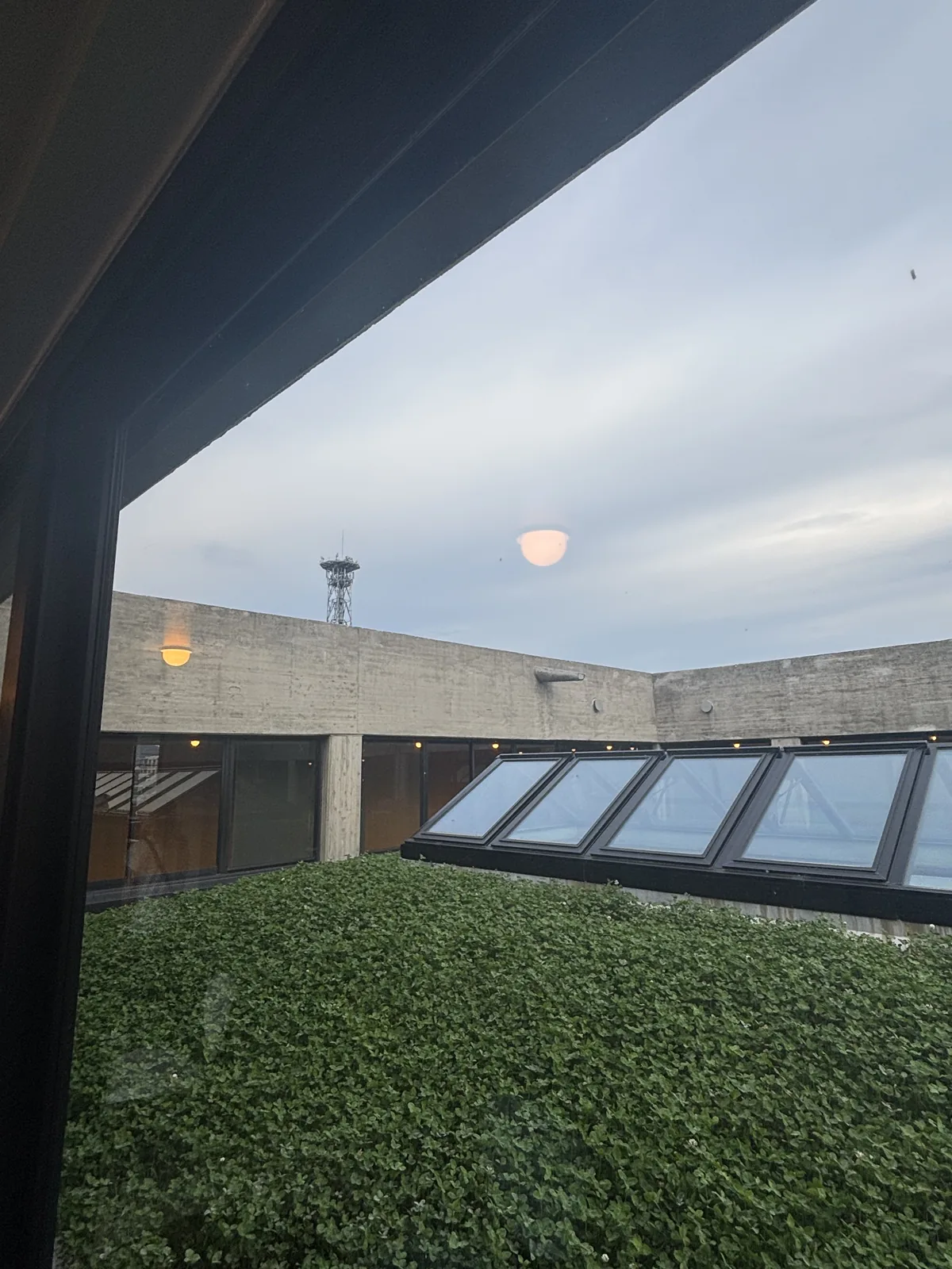 自二樓長廊隔著玻璃看中庭，地面覆滿綠色的地被植物，中庭邊緣是一排斜置的玻璃頂光，四周是清水混凝土的二層牆面，遠處天空下立著一座鐵塔